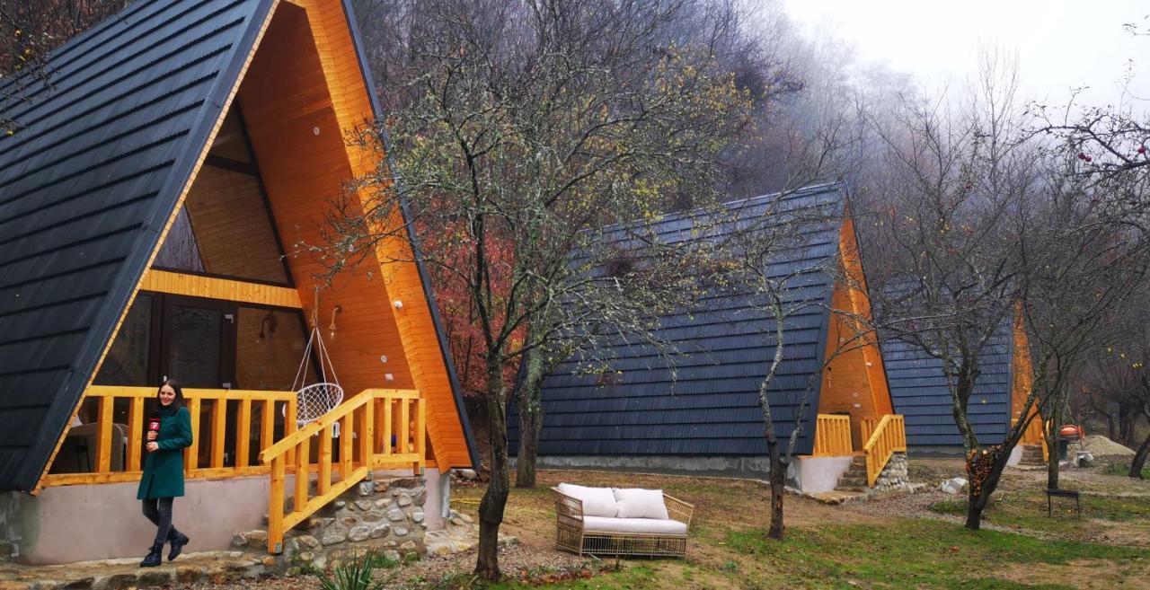 Casa - Cabana Tip A Frame, Cerna, Vaideeni, Valcea Cerna  Eksteriør billede